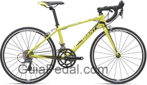 Giant TCR Espoir 24 ficha técnica y opiniones